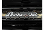 LAMBORGHINI Huracan Evo 5.2 V10 640 4WD LDF7 occasion Sausheim 28