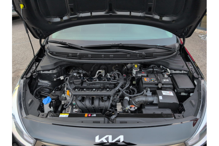 KIA Rio 1.2 DPi 84 ch BVM5 occasion Chenôve 19