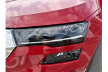 SKODA Karoq 2.0 TDI 116 ch SCR DSG7 occasion Horbourg-wihr 10