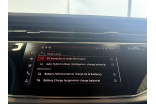 AUDI Q8 55 TFSI e 394 Tiptronic 8 quattro occasion Sausheim 35