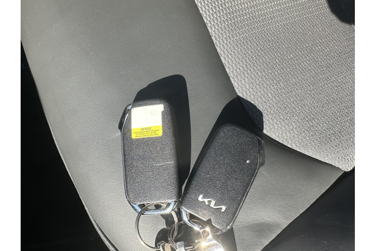 KIA Niro 1.6 GDi 183 ch PHEV DCT6 occasion Chenôve 23