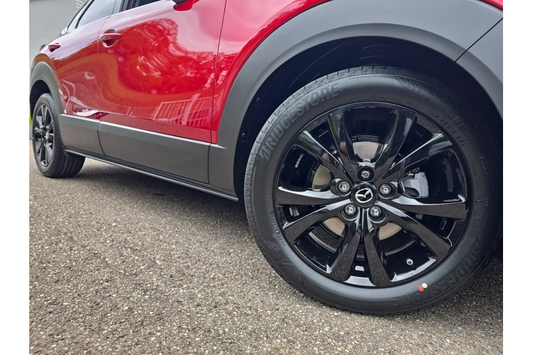 MAZDA CX-30 2.0L e-SKYACTIV X M Hybrid 186 ch 4x2 BVA6 occasion Nancy 4
