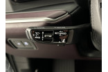 PORSCHE Cayenne Coupé E-Hybrid 4.0 V8 739 ch occasion Sausheim 20