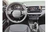 SKODA Fabia 1.0 TSI 95 ch EVO 2 BVM5 occasion Illzach 21