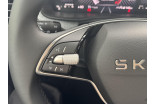SKODA Kamiq 1.0 TSI Evo 2 95 ch BVM5 occasion Illzach 9