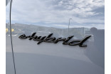 PORSCHE Cayenne Coupé E-Hybrid 3.0 V6 470 ch occasion Chenôve 21