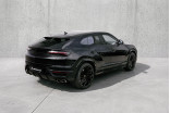 LAMBORGHINI Urus 4.0 V8 800ch BVA8 occasion Dardilly 5