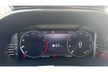 SKODA Fabia 1.0 TSI 95 ch BVM5 occasion Illzach 13