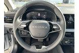 SKODA Kamiq 1.0 TSI Evo 2 116 ch DSG7 occasion Illzach 5
