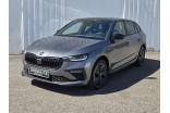 SKODA Scala 1.0 TSI Evo 2 116 ch DSG7 occasion Illzach 1