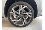 SKODA Karoq 1.5 TSI Evo 2 150 ch ACT DSG7 occasion Épinal 5