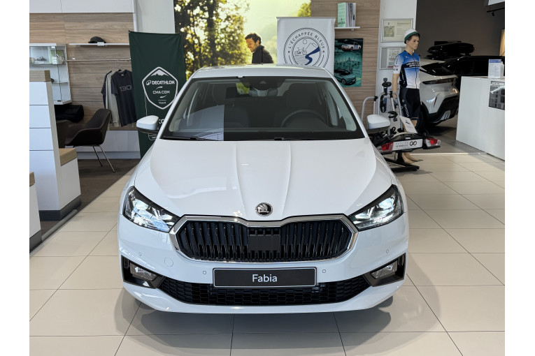 SKODA Fabia 1.0 TSI 116 ch EVO 2 DSG7 occasion Épinal 3