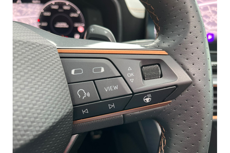 CUPRA Formentor 1.4 e-HYBRID 245 ch DSG6 occasion Sausheim 13