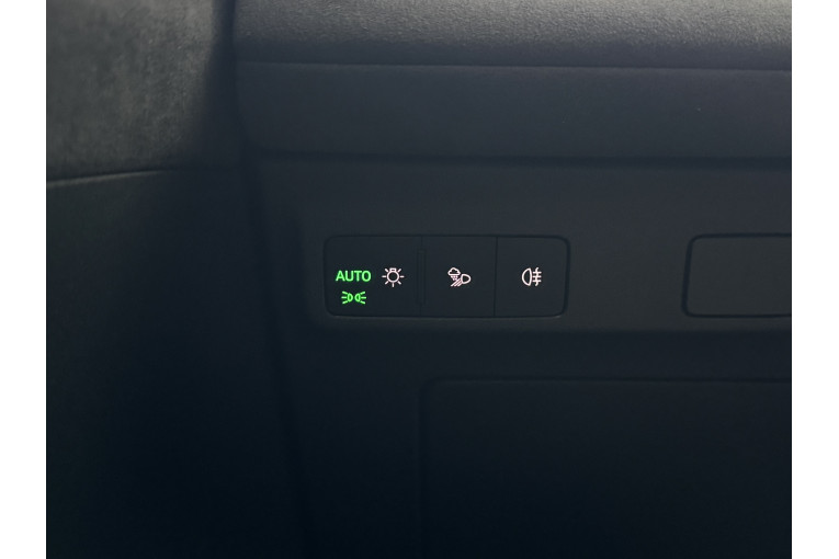 SKODA Peaq 286 ch Batterie 90 occasion Épinal 19