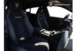 LAMBORGHINI Urus 4.0 V8 666 ch BVA8 occasion Sausheim 9