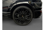 LAMBORGHINI Urus 4.0 V8 800ch BVA8 occasion Sausheim 9