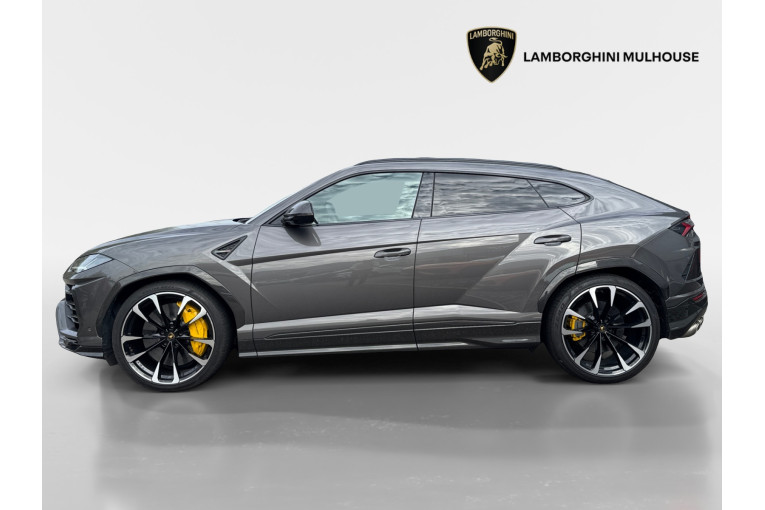 LAMBORGHINI Urus 4.0 V8 650 ch BVA8 occasion Sausheim 2