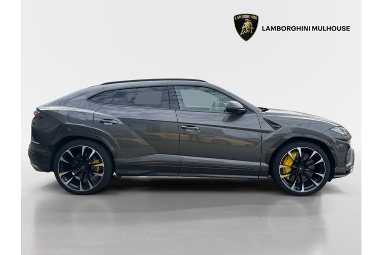 LAMBORGHINI Urus 4.0 V8 650 ch BVA8 occasion Sausheim 6